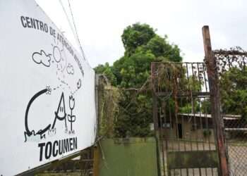 Panamá abre investigación por denuncias de abusos y maltratos en albergues infantiles, UNICEF alerta fallas graves