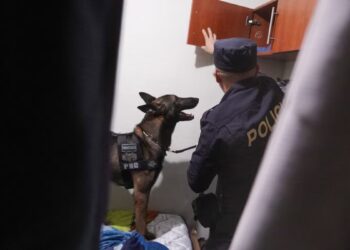 Cae en El Salvador una red internacional de narcotráfico que operaba también en Guatemala