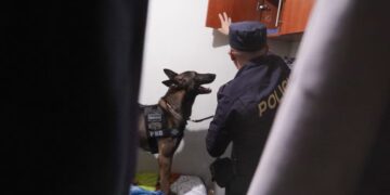 Cae en El Salvador una red internacional de narcotráfico que operaba también en Guatemala