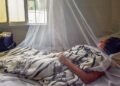 Panamá en alerta: dengue deja 5 muertes y más de 180 hospitalizados en lo que va de 2026