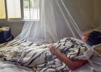 Panamá en alerta: dengue deja 5 muertes y más de 180 hospitalizados en lo que va de 2026