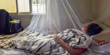 Panamá en alerta: dengue deja 5 muertes y más de 180 hospitalizados en lo que va de 2026