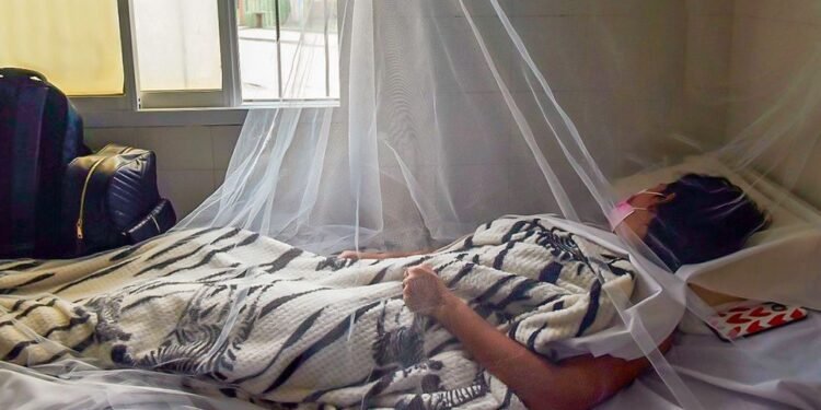 Panamá en alerta: dengue deja 5 muertes y más de 180 hospitalizados en lo que va de 2026