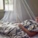 Panamá en alerta: dengue deja 5 muertes y más de 180 hospitalizados en lo que va de 2026