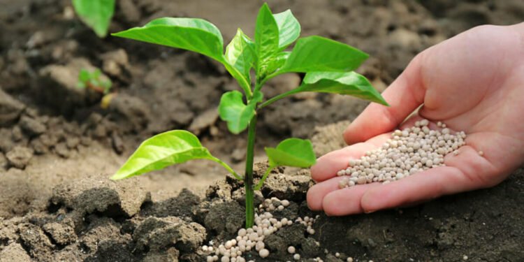 Guatemala enfrenta presión en el agro: fertilizantes suben hasta 73% por conflicto en Medio Oriente