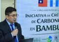 Guatemala y Taiwán impulsan créditos de carbono con bambú para desarrollo sostenible