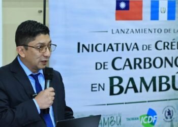 Guatemala y Taiwán impulsan créditos de carbono con bambú para desarrollo sostenible
