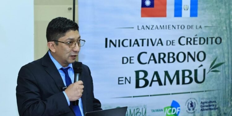 Guatemala y Taiwán impulsan créditos de carbono con bambú para desarrollo sostenible