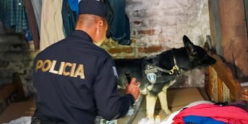 Operación de seguridad en El Salvador deja cinco detenidos por tráfico de droga desde Guatemala