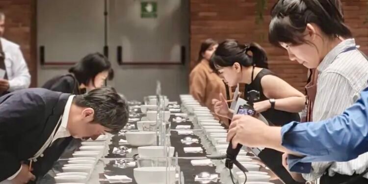 Taiwán impulsa importaciones de café de Guatemala y busca superar las 700 toneladas anuales