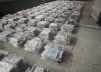 Panamá incauta 1,251 paquetes de droga en contenedor con destino a Lituania