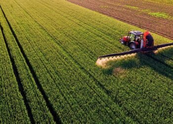 Honduras impulsa ley para rescatar al agro que emplea al 21.9 % de su fuerza laboral y busca crear 240,000 nuevos puestos