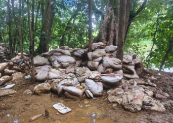 Las capturas por minería ilegal en Costa Rica suman casi 500 detenidos en lo que va del año