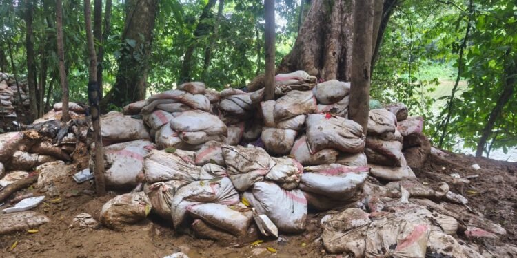 Las capturas por minería ilegal en Costa Rica suman casi 500 detenidos en lo que va del año