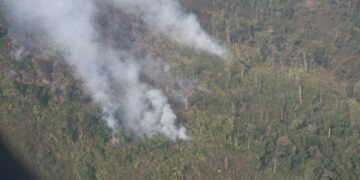 Más de 30,000 hectáreas fueron consumidas por 447 incendios en el Parque Internacional La Amistad, en Costa Rica en casi una década