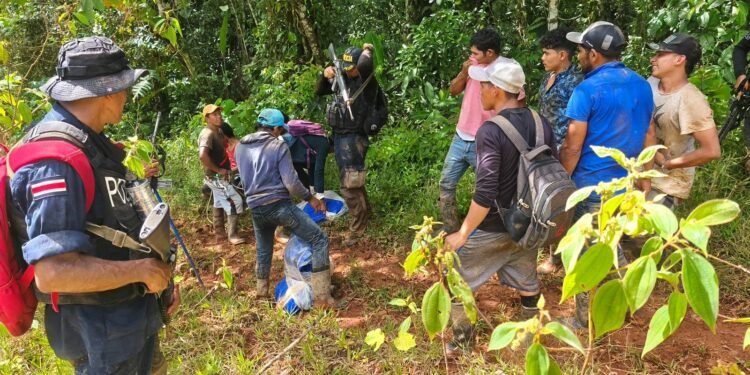 Las capturas por minería ilegal en Costa Rica suman casi 500 detenidos en lo que va del año