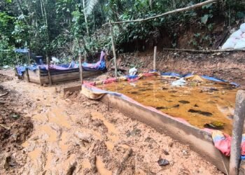 Las capturas por minería ilegal en Costa Rica suman casi 500 detenidos en lo que va del año