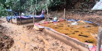 Las capturas por minería ilegal en Costa Rica suman casi 500 detenidos en lo que va del año