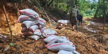 Las capturas por minería ilegal en Costa Rica suman casi 500 detenidos en lo que va del año