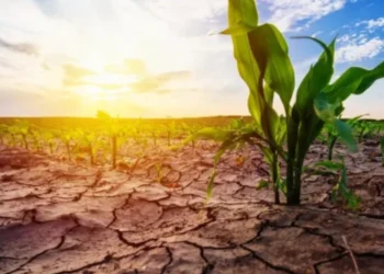 Informe revela que perturbaciones climáticas influencian en la migración de centroamericanos hacia Estados Unidos