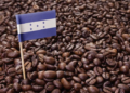 Exportaciones de café hondureño crecieron 29.6 % en marzo