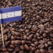Exportaciones de café hondureño crecieron 29.6 % en marzo