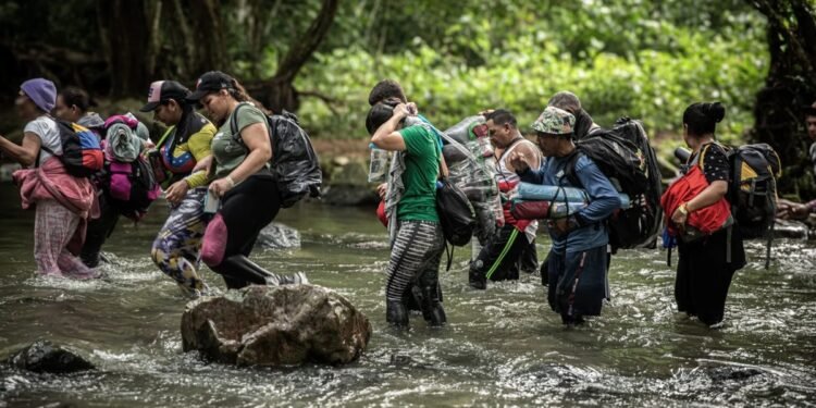 Del Darién al silencio: cruces migratorios caen drásticamente y crece la migración invisible