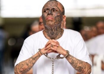 Juicio masivo contra 486 cabecillas de la MS-13 avanza en El Salvador, mientras el caso se vuelve tema de agenda política