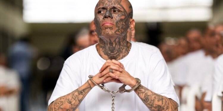 Juicio masivo contra 486 cabecillas de la MS-13 avanza en El Salvador, mientras el caso se vuelve tema de agenda política