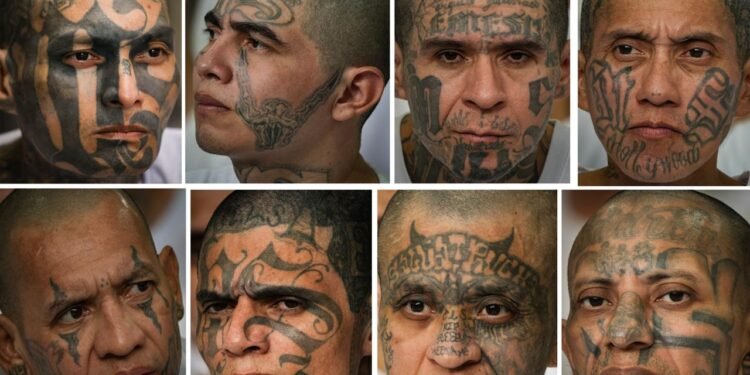 Juicio masivo contra 486 cabecillas de la pandilla MS-13 llega a su segunda semana y fiscalía asegura que hay abundantes pruebas