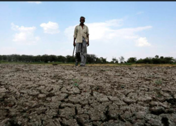 Sequía causada por El Niño amenaza a 250 mil familias hondureñas