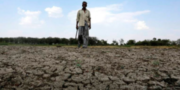 Sequía causada por El Niño amenaza a 250 mil familias hondureñas