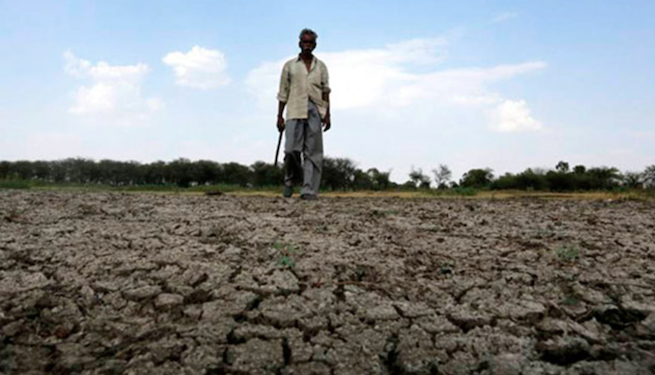 Sequía causada por El Niño amenaza a 250 mil familias hondureñas
