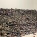 El Antisemitismo No Desapareció Después del Holocausto
