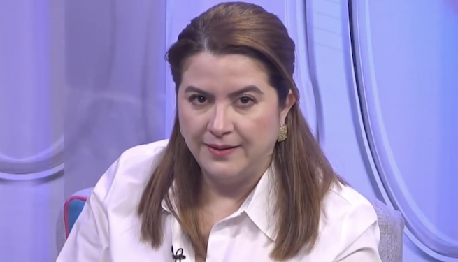 Consejera hondureña denuncia que “hubo muchos intentos de fraude” contra la oposición en elecciones de noviembre