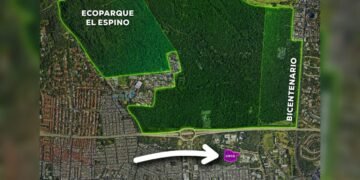 Gobierno salvadoreño niega que construcción china se realice en bosque protegido