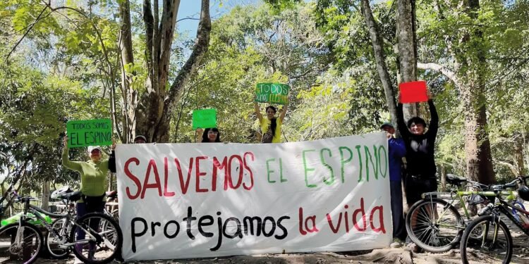 Movimiento salvadoreño pide a Bukele frenar construcción china en área protegida y ha recolectado más de 500,000 firmas