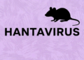 Guatemala descarta casos de hantavirus y mantiene vigilancia epidemiológica