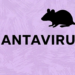 Guatemala descarta casos de hantavirus y mantiene vigilancia epidemiológica