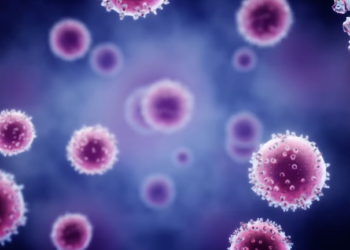 Qué se sabe del hantavirus Andes en seis preguntas