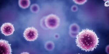 Qué se sabe del hantavirus Andes en seis preguntas