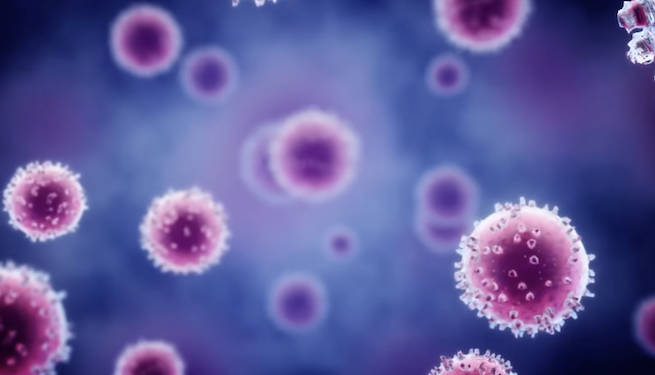 Qué se sabe del hantavirus Andes en seis preguntas