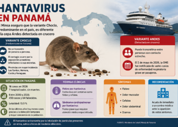 Panamá ha detectado 16 casos de hantavirus este año pero descarta riesgo por brote del crucero