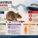 Panamá ha detectado 16 casos de hantavirus este año pero descarta riesgo por brote del crucero