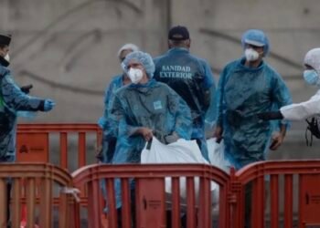 Guatemalteco evacuado del crucero MV Hondius llega a Países Bajos en medio de alerta por hantavirus