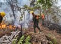 Autoridades hondureñas condenan incendios forestales provocados que dejaron daños en más de 21 mil hectáreas