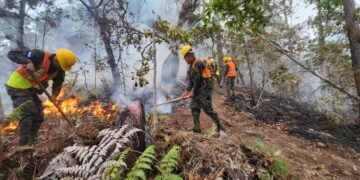 Autoridades hondureñas condenan incendios forestales en Honduras tras daños en más de 21 mil hectáreas
