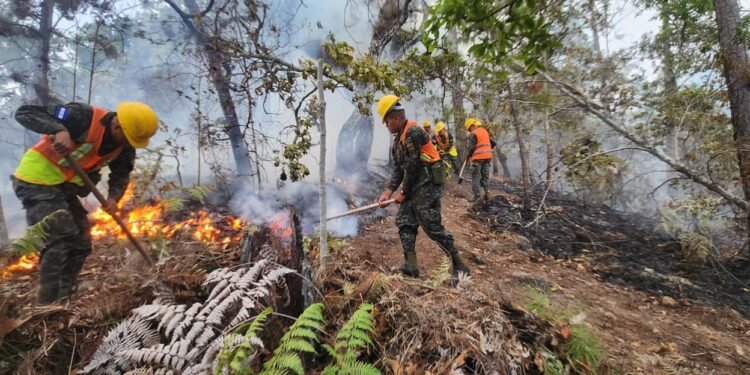 Autoridades hondureñas condenan incendios forestales en Honduras tras daños en más de 21 mil hectáreas