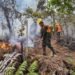 Autoridades hondureñas condenan incendios forestales en Honduras tras daños en más de 21 mil hectáreas