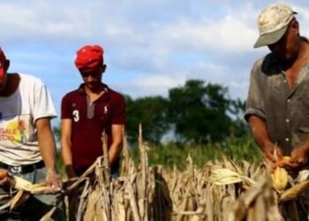 Directora anticorrupción advierte riesgo de crisis alimentaria en Honduras por falta de apoyo al campo